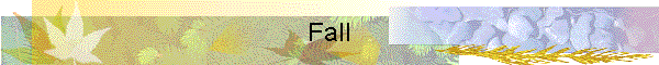 Fall