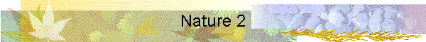 Nature 2