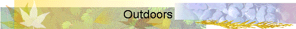 Outdoors