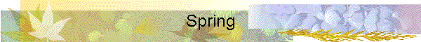 Spring