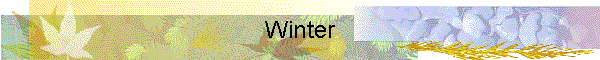 Winter