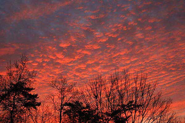 Sunrise in Virginia