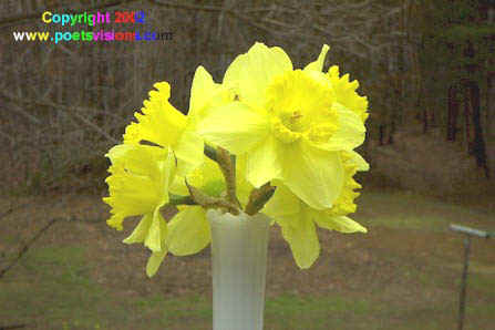 Butter for Spring