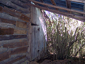 %_tempFileNamebarn10-05a%