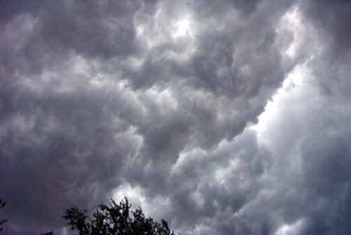 Thunderstorm & Wind