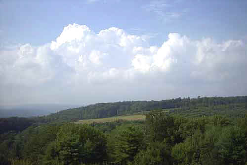 Elk Viewing PA