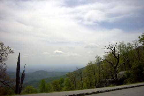 Cloudy View