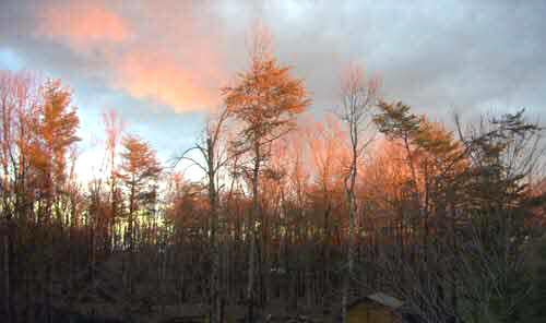 Sunrise
