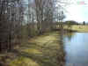 pond10x7.jpg (310063 bytes)