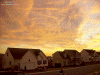 set1201_10x7.gif (406741 bytes)