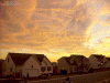 set1201_8x6.gif (260573 bytes)